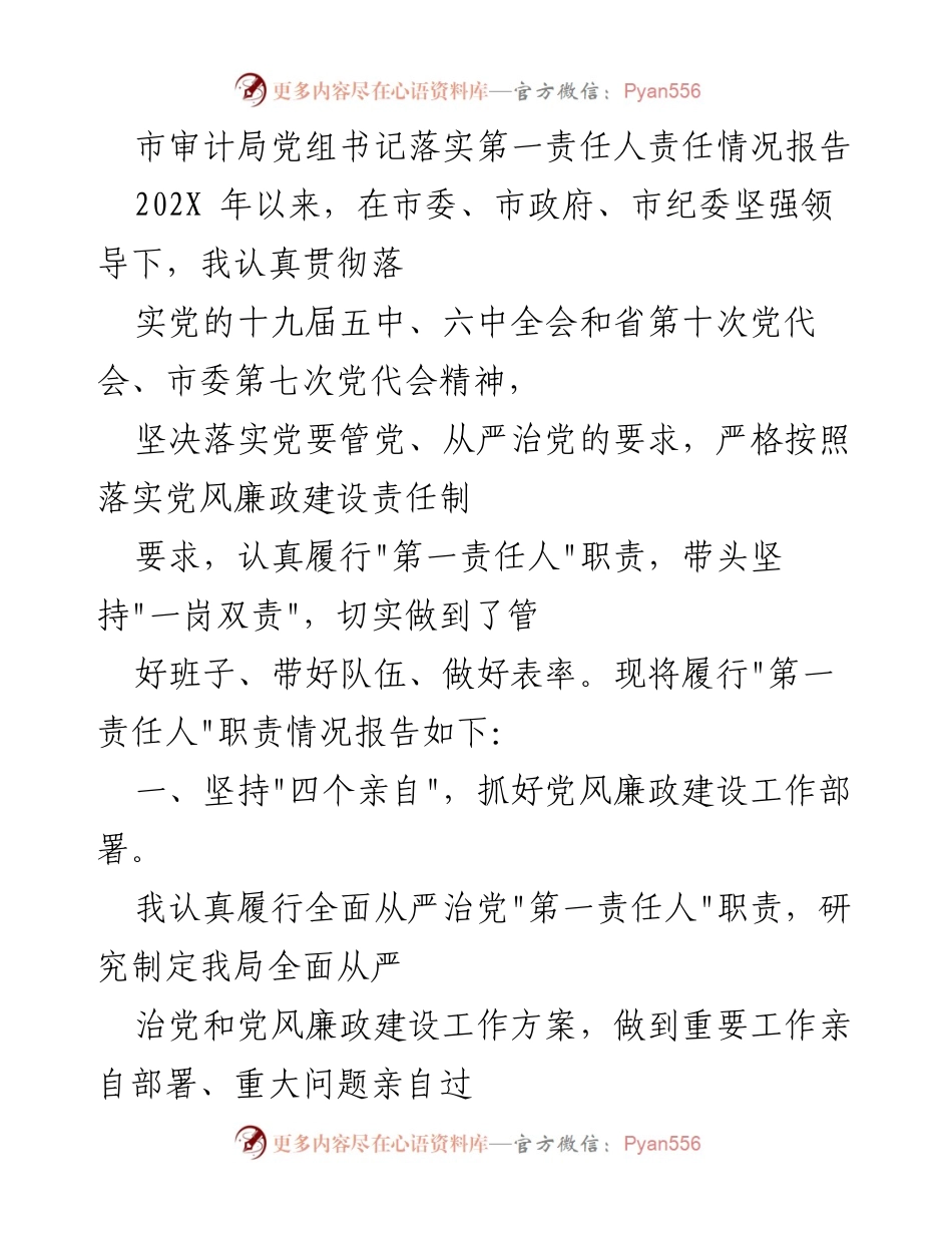 [发言] 市审计局党组会议 - 市审计局党组书记履行第一责任人责任情况报告.docx_第1页