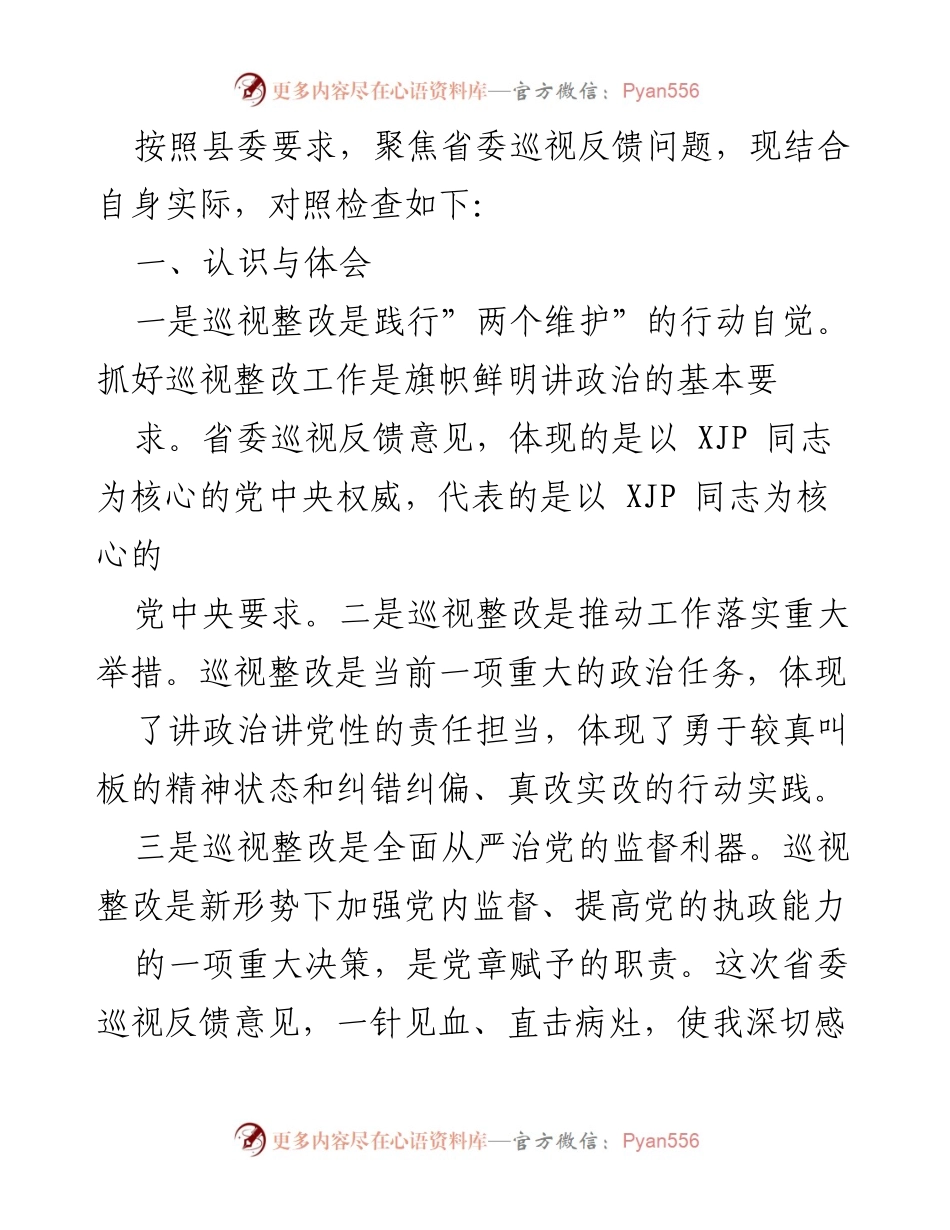 [发言] 巡视整改会议 - 深刻认识巡视整改的重要性与存在问题分析.docx_第1页