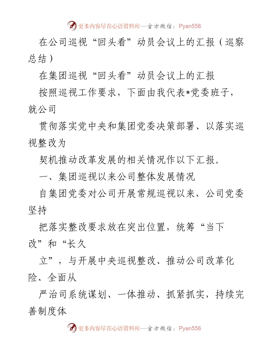 [发言] 巡视“回头看”动员会议 - 公司巡视整改工作进展汇报.docx_第1页