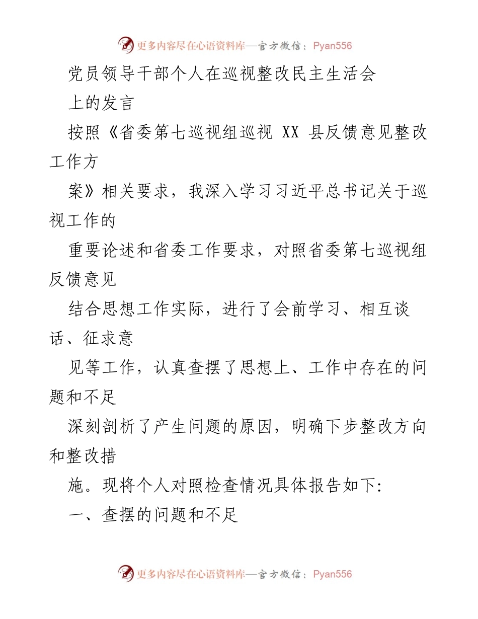 [发言] 巡视整改民主生活会 - 党员领导干部巡视整改自查发言报告_1.docx_第1页