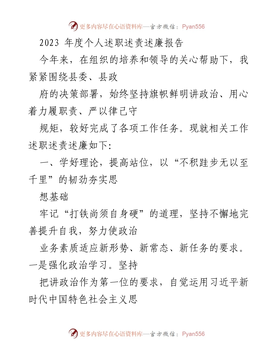 [发言] 年度总结 - 2023年度个人述职述责述廉报告.docx_第1页