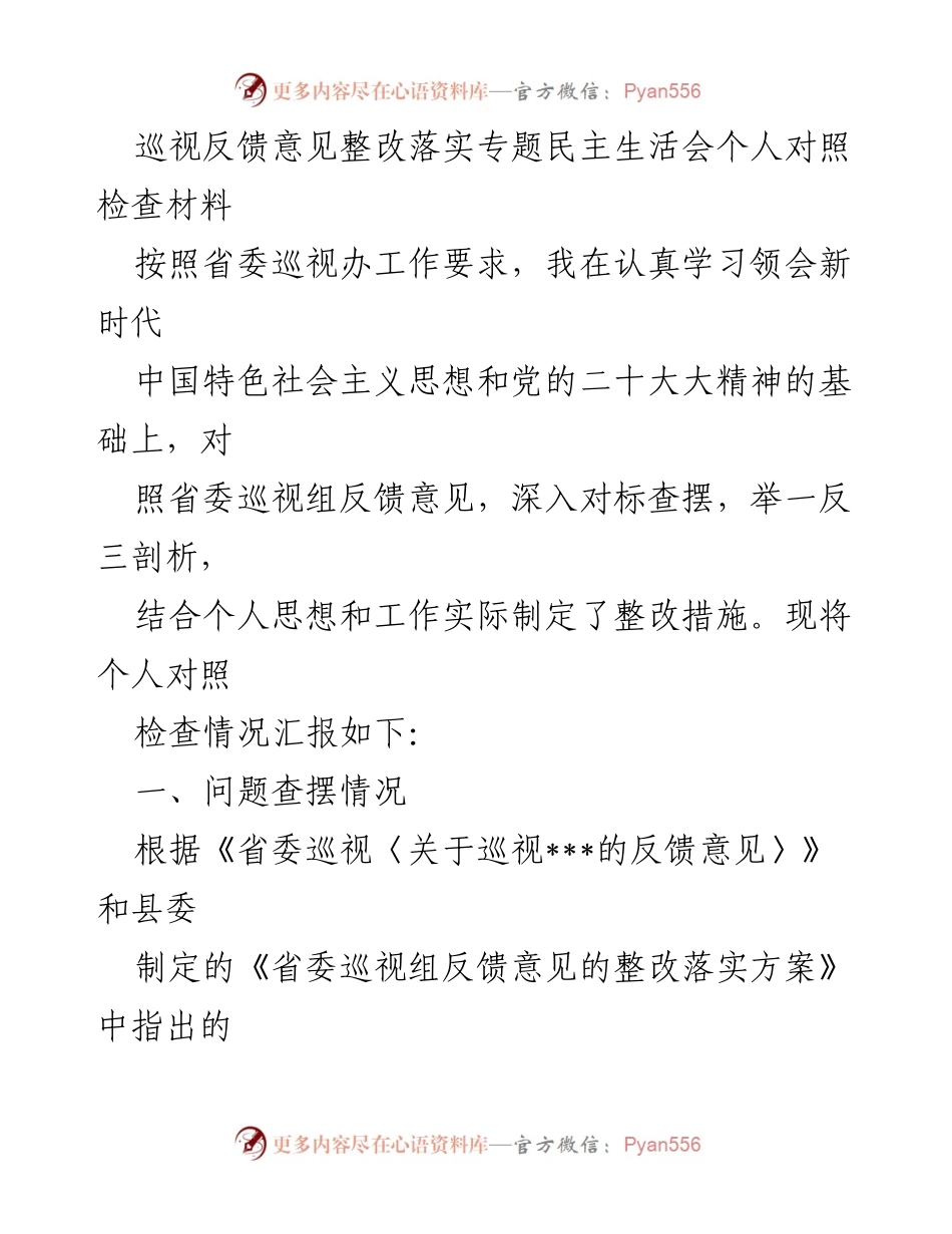 [发言] 巡视反馈意见整改落实专题民主生活会 - 个人对照检查材料总结与反思.docx_第1页