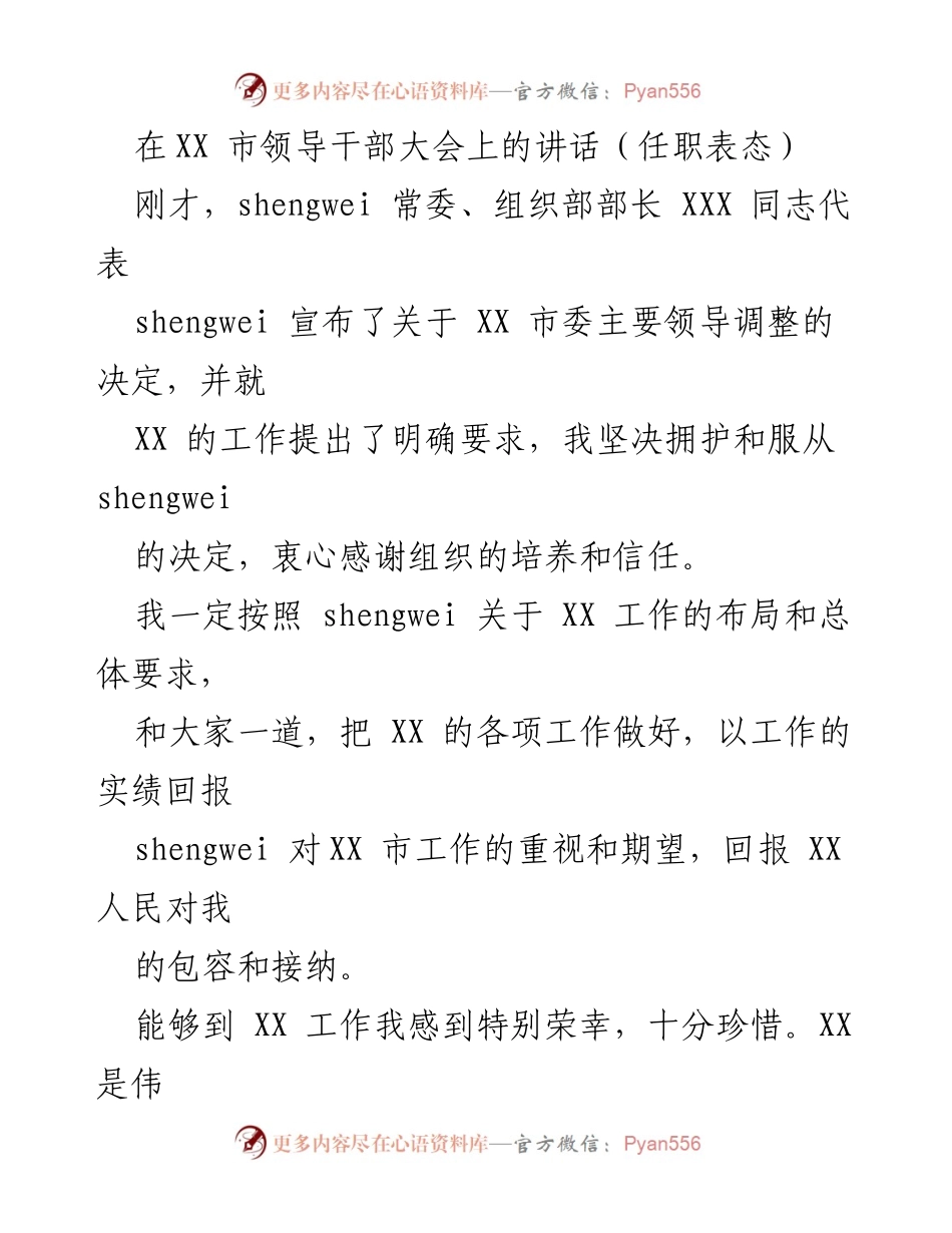 [发言] 市领导干部大会 - 新任职表态：坚定推动XX市发展使命.docx_第1页
