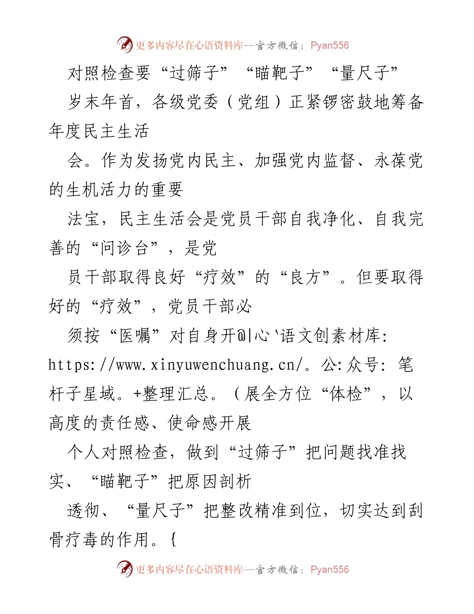 [发言] 年度民主生活会 - 对照检查的“三步走”策略：过筛子、瞄靶子、量尺子.docx_第1页