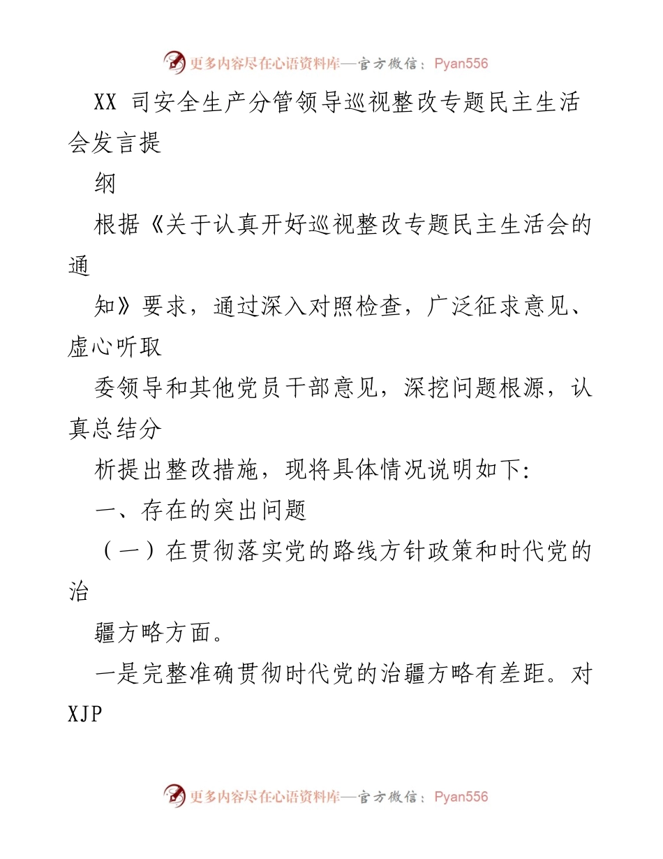 [发言] 巡视整改专题民主生活会 - 安全生产领域的巡视整改问题及整改措施分析.docx_第1页