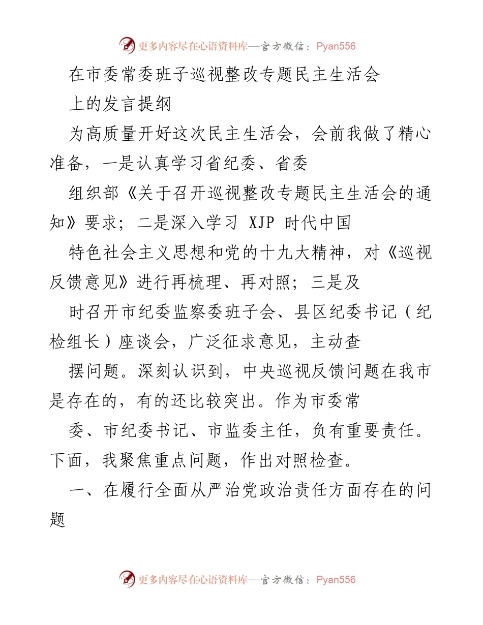 [发言] 市委常委班子巡视整改专题民主生活会 - 深刻反思巡视反馈问题，推动全面从严治党落实.docx_第1页