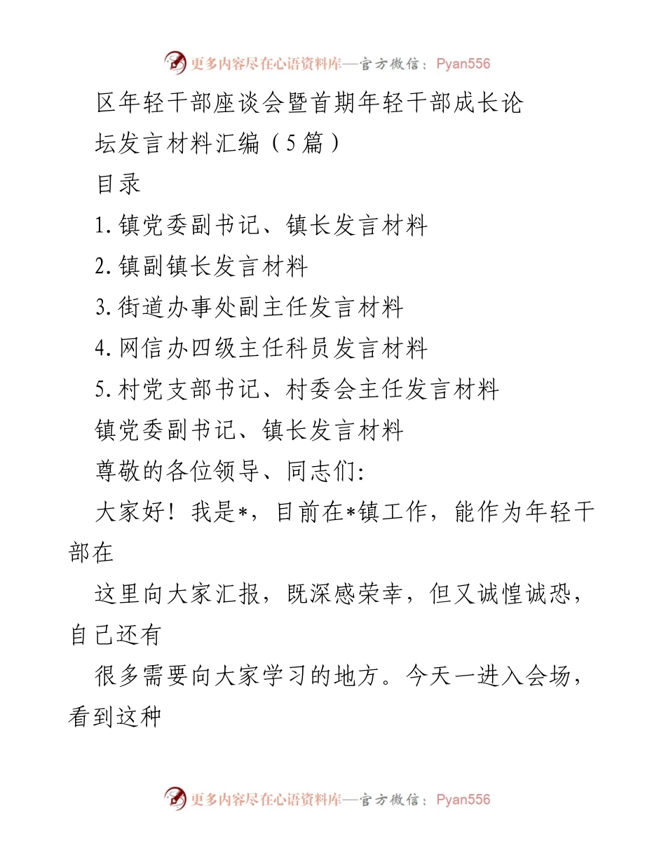 [发言] 年轻干部座谈会 - 年轻干部成长与责任担当发言材料汇编.docx_第1页