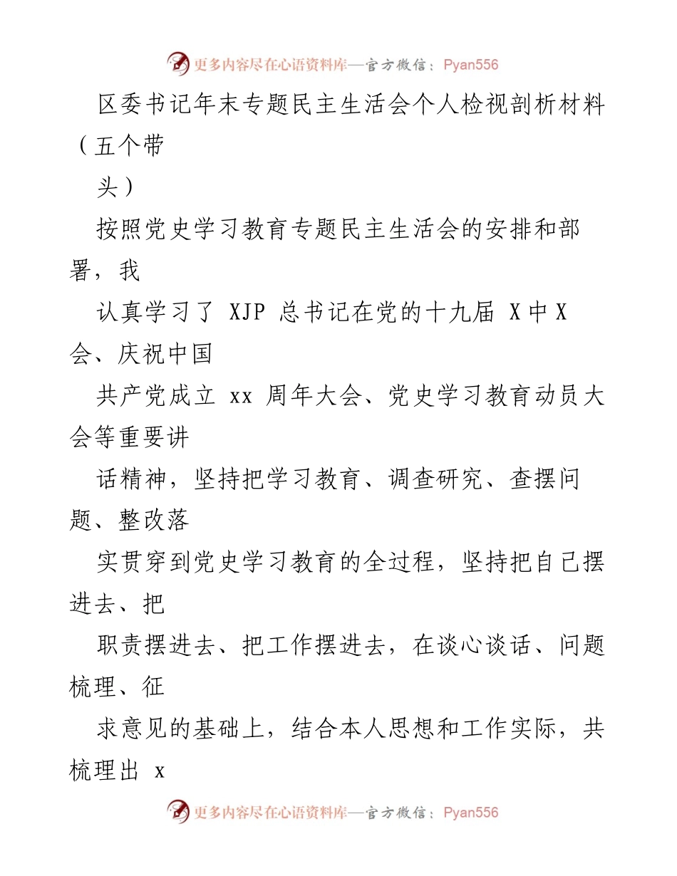 [发言] 年末专题民主生活会 - 区委书记个人检视与整改措施剖析.docx_第1页