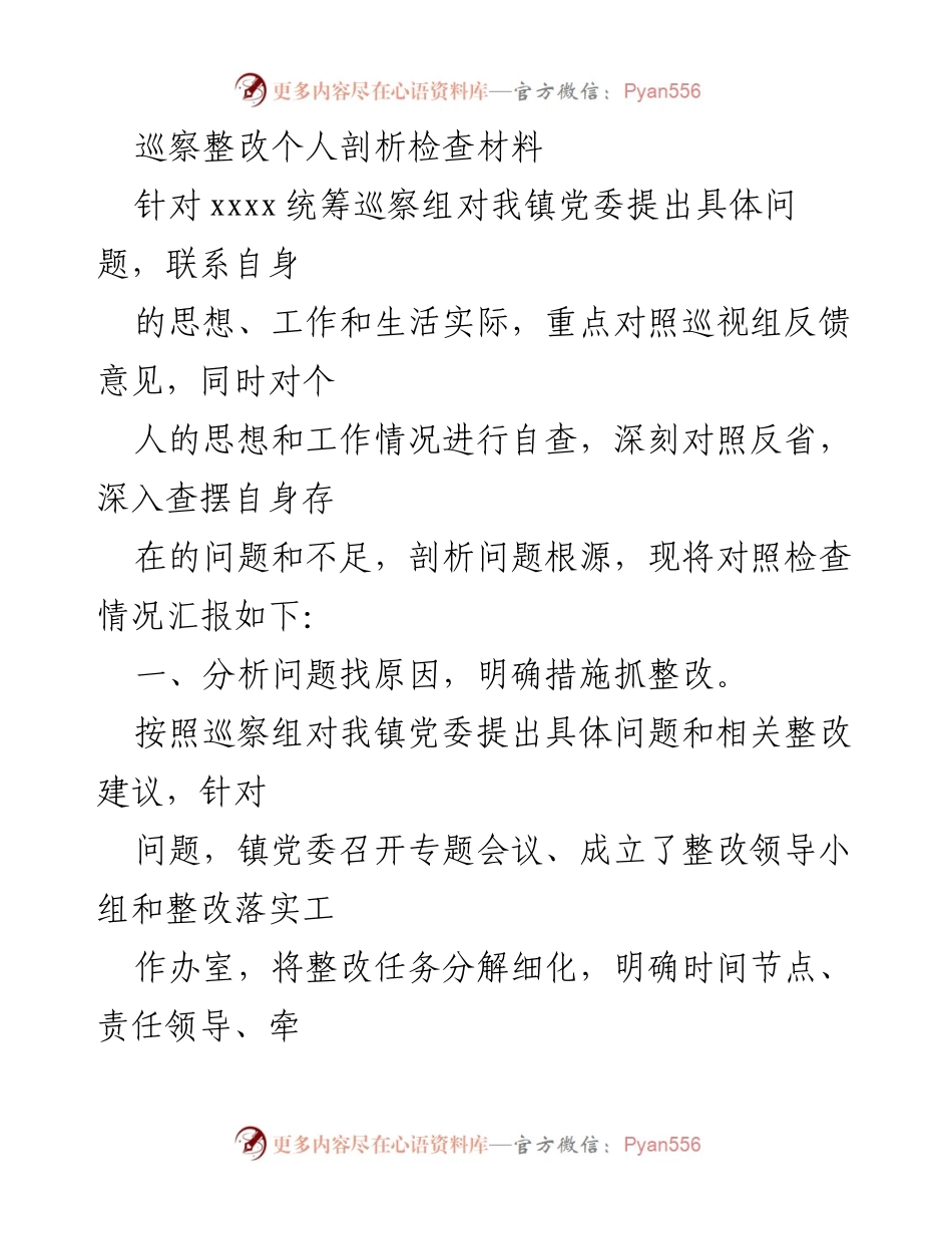 [发言] 巡察整改会议 - 巡察整改个人剖析与反思报告.docx_第1页