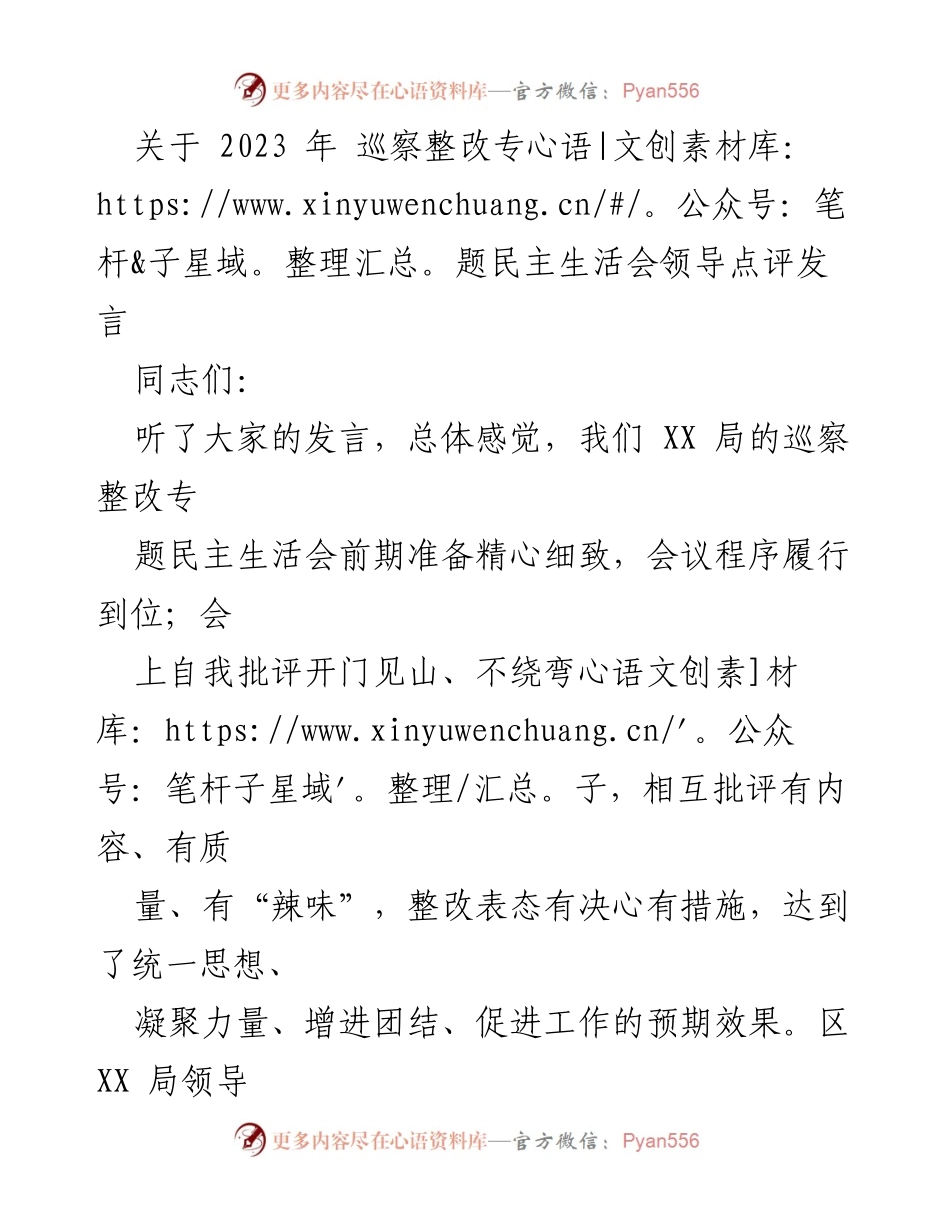 [发言] 巡察整改专题民主生活会 - 提升政治站位，强化整改落实，打造担当作为的领导班子.docx_第1页