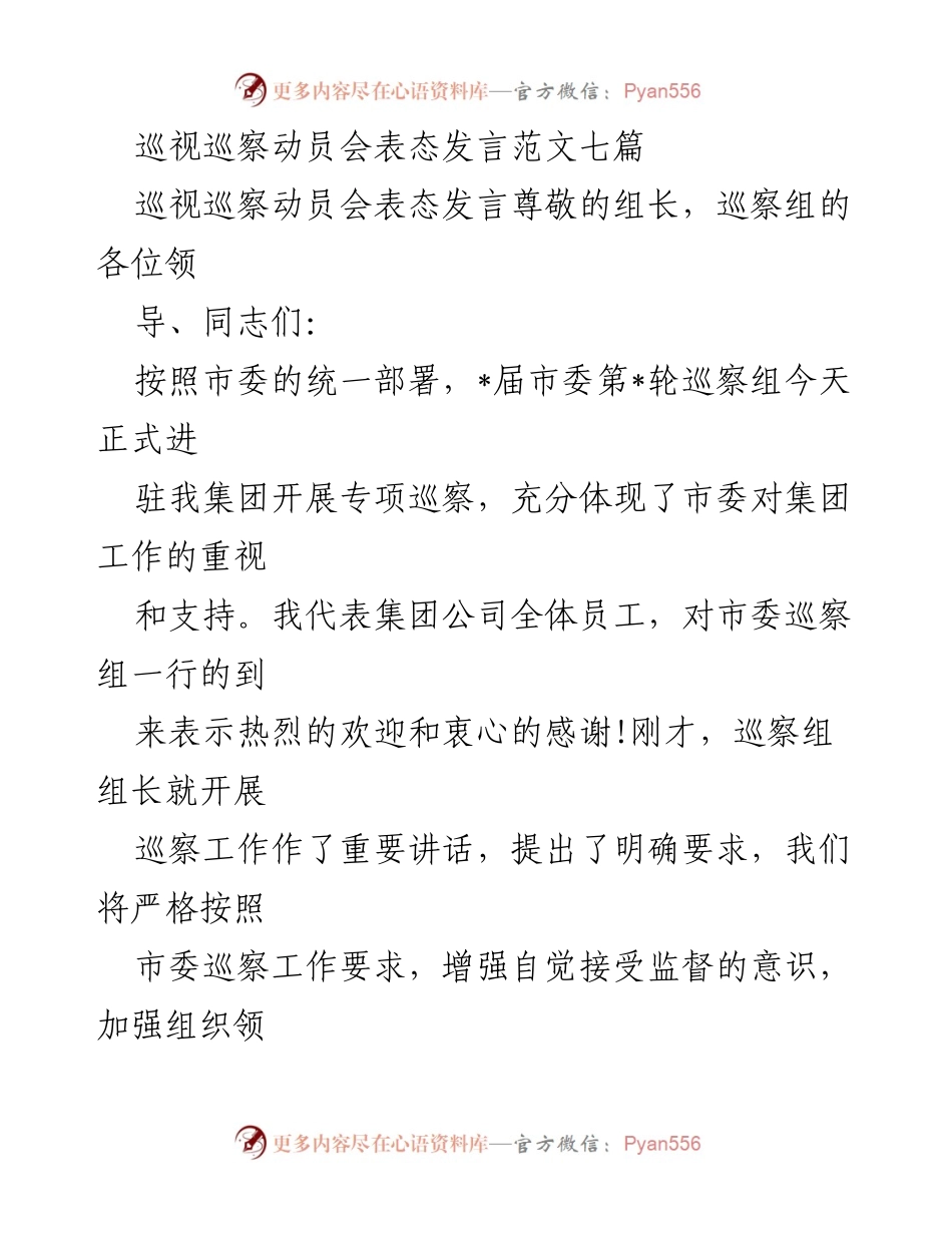[发言] 巡视巡察动员会 - 巡察工作表态发言与承诺.docx_第1页