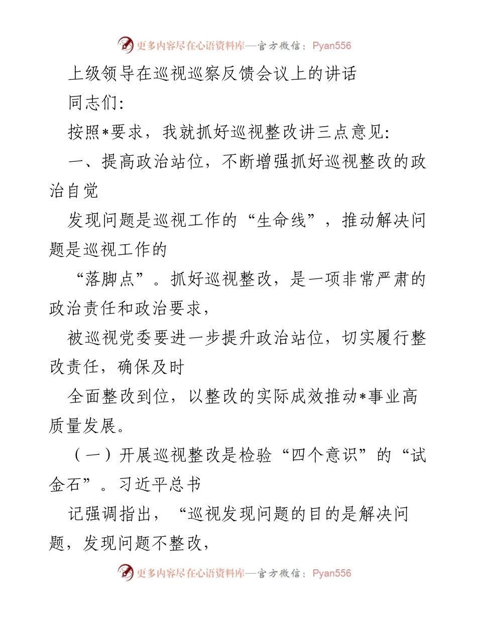 [发言] 巡视巡察反馈会议 - 抓好巡视整改的重要性与责任.docx_第1页