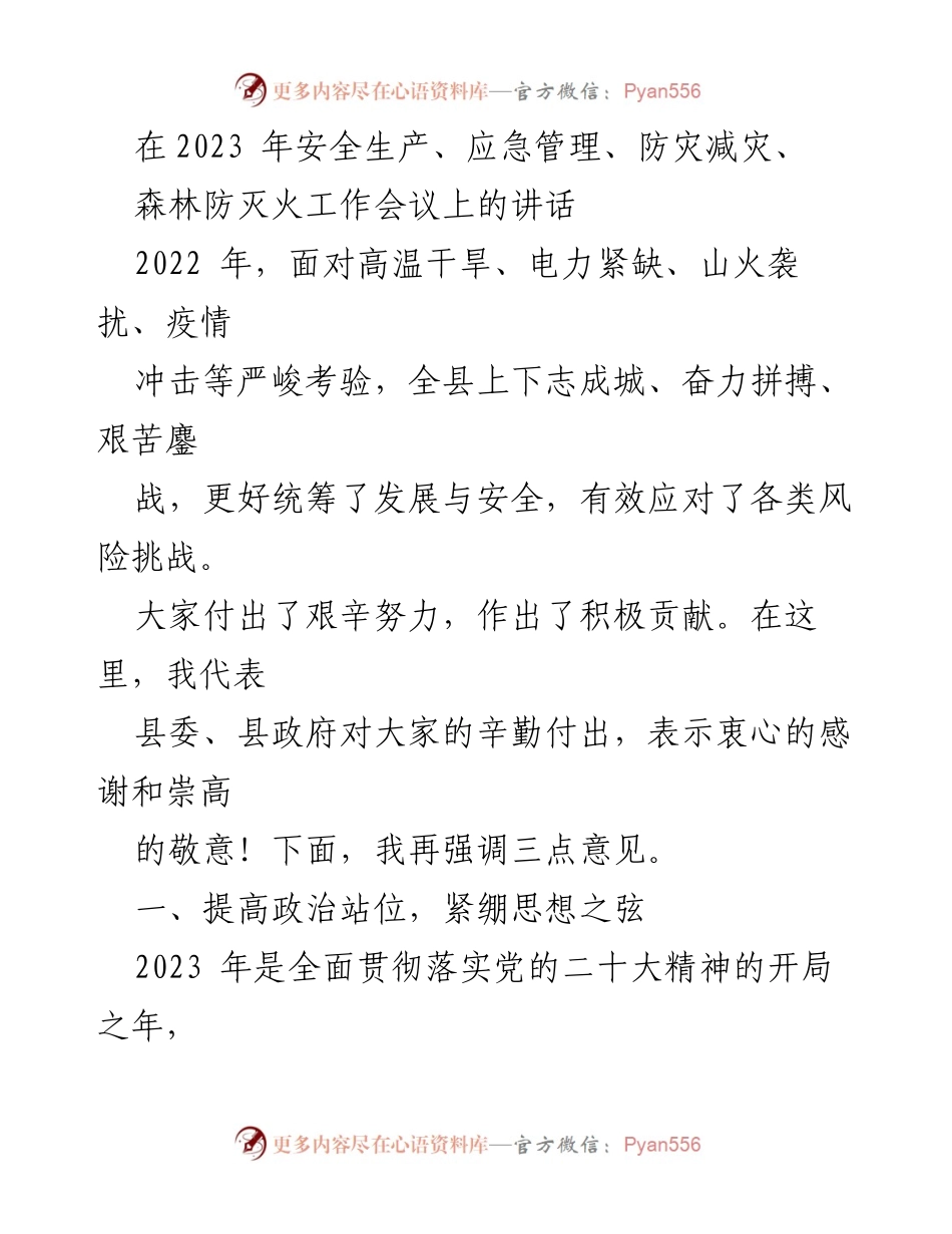 [发言] 工作会议 - 强调安全与发展的重要性及应对措施.docx_第1页
