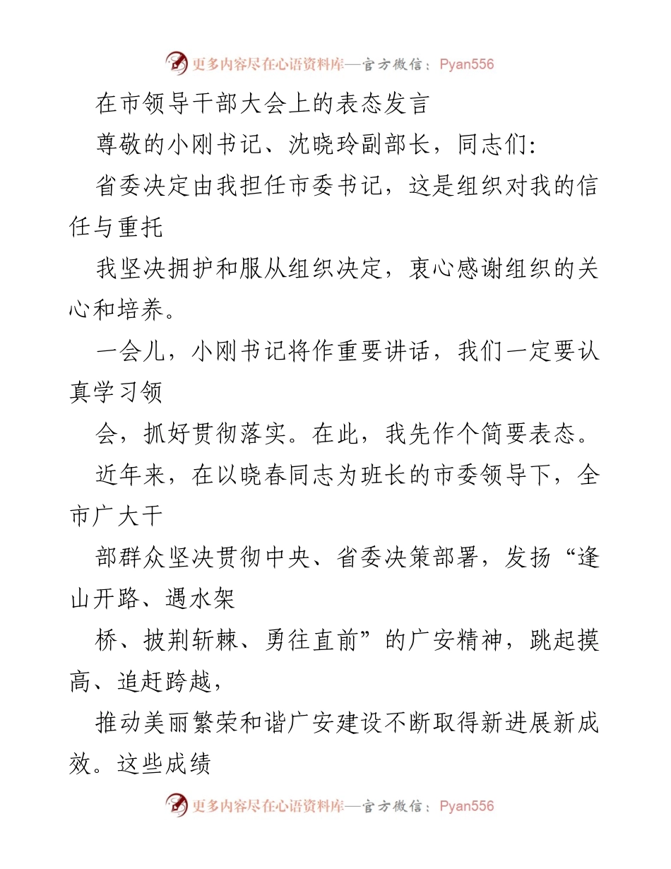 [发言] 市领导干部大会 - 新任市委书记表态发言.docx_第1页