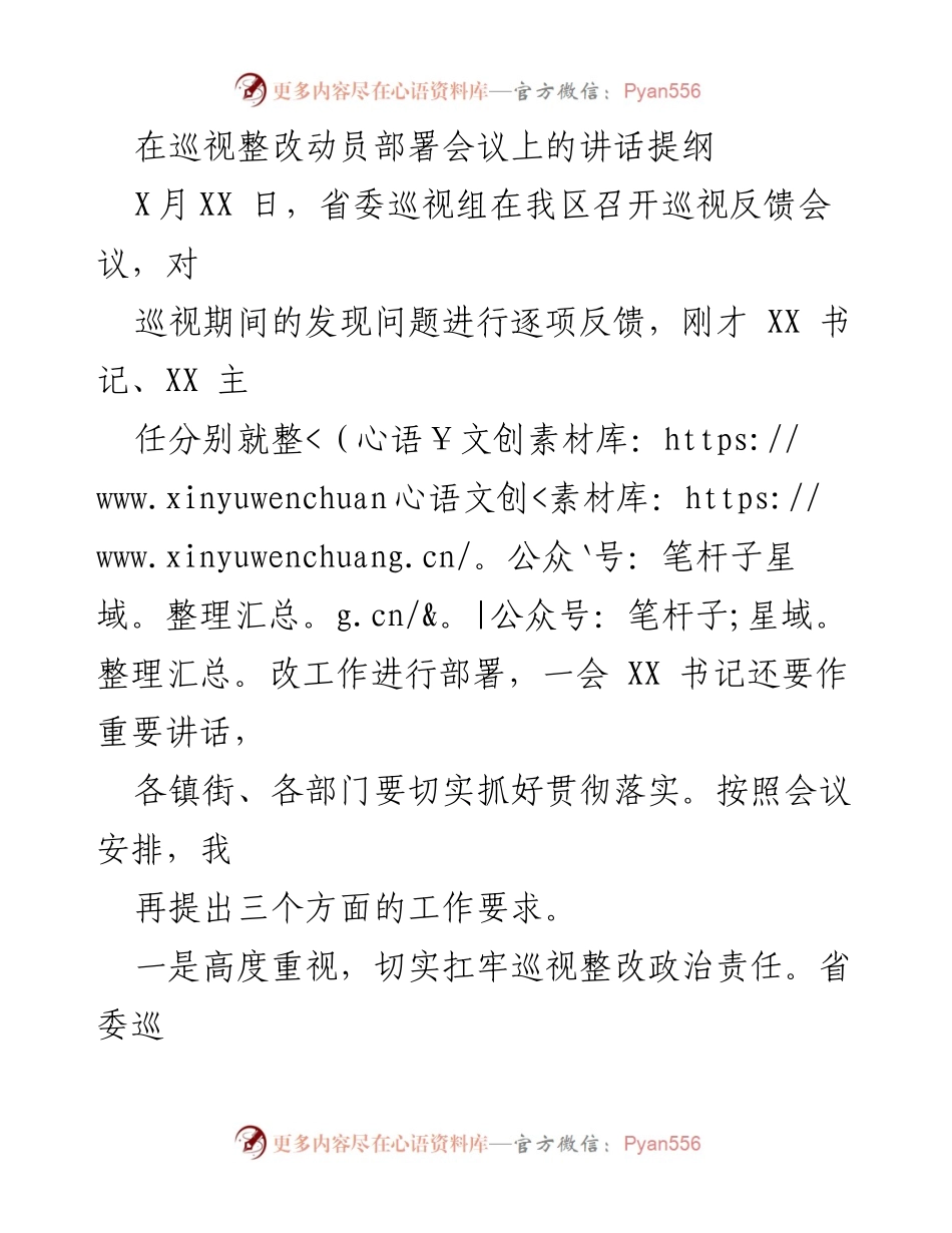 [发言] 巡视整改动员部署会议 - 巡视整改工作的重要性与实施要求.docx_第1页