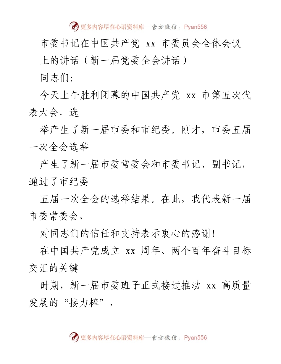 [发言] 市委全体会议 - 新一届市委班子的使命与责任.docx_第1页