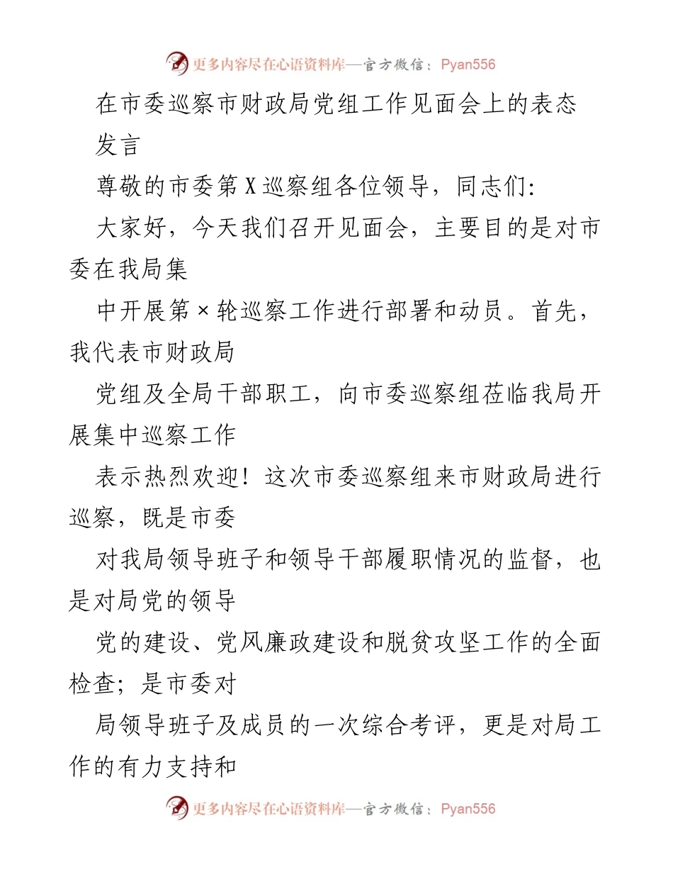 [发言] 市委巡察市财政局党组工作见面会 - 市财政局党组表态支持市委巡察工作.docx_第1页