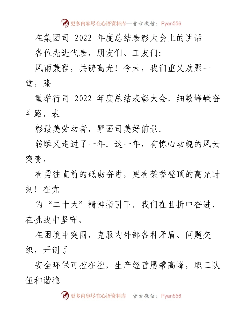 [发言] 年度总结表彰大会 - 高光2022：奋进中的渣矿人.docx_第1页