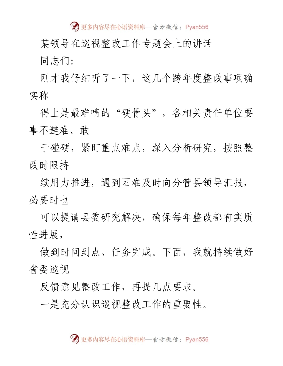 [发言] 巡视整改工作专题会 - 强调巡视整改的重要性与紧迫性.docx_第1页