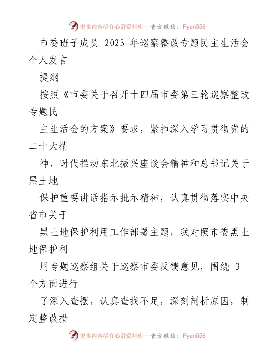 [发言] 市委班子成员 2023 年巡察整改专题民主生活会 - 深入查摆黑土地保护工作中的不足与整改措施.docx_第1页