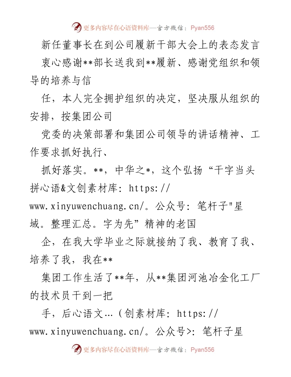 [发言] 干部大会 - 新任董事长履新表态发言：坚定信念，推动高质量发展.docx_第1页