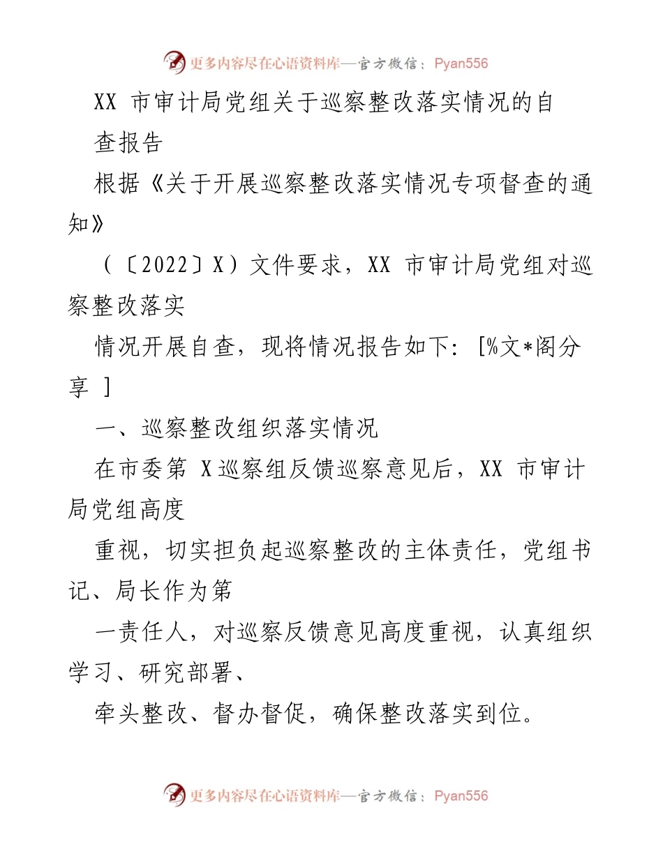 [发言] 巡察整改会议 - XX市审计局党组巡察整改落实情况自查报告.docx_第1页