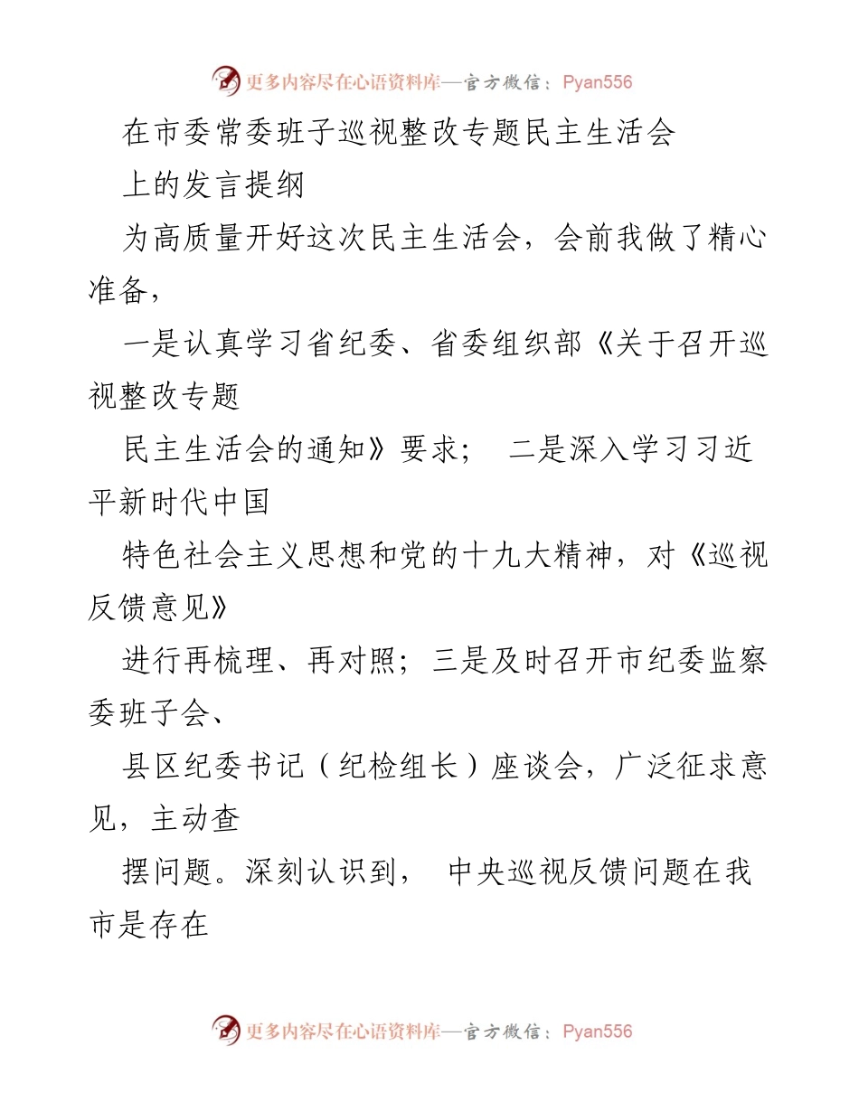 [发言] 市委常委班子巡视整改专题民主生活会 - 巡视整改专题民主生活会发言提纲.docx_第1页