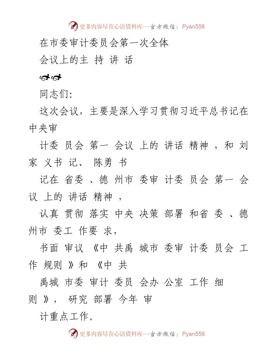 [发言] 市委审计委员会第一次全体会议 - 深入学习贯彻习近平总书记审计工作讲话精神.docx_第1页
