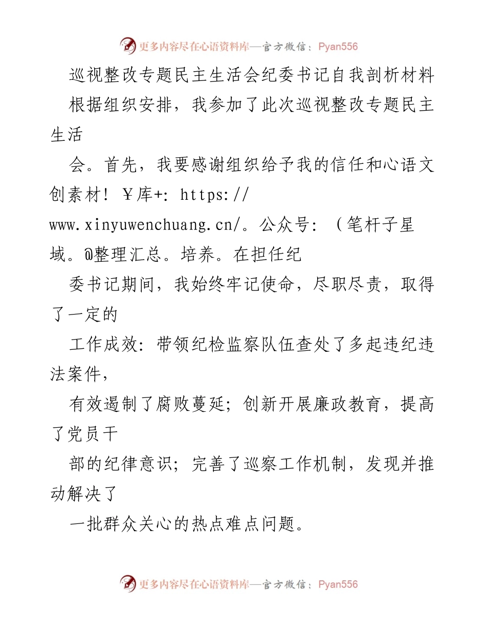 [发言] 巡视整改专题民主生活会 - 纪委书记自我剖析与整改建议.docx_第1页