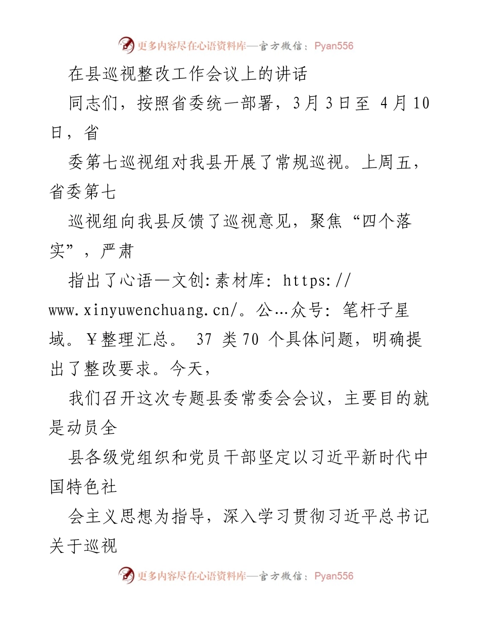 [发言] 巡视整改工作会议 - 强化巡视整改落实，确保反馈问题逐项整改到位.docx_第1页