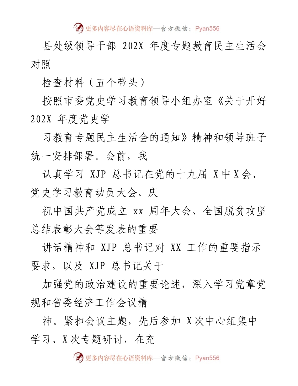 [发言] 年度专题教育民主生活会 - 县处级领导干部202X年度民主生活会对照检查材料.docx_第1页