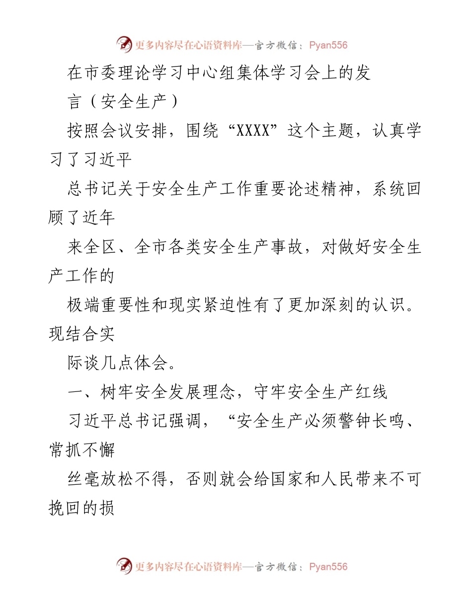 [发言] 市委理论学习中心组集体学习会 - 深化安全生产理念，强化责任意识.docx_第1页