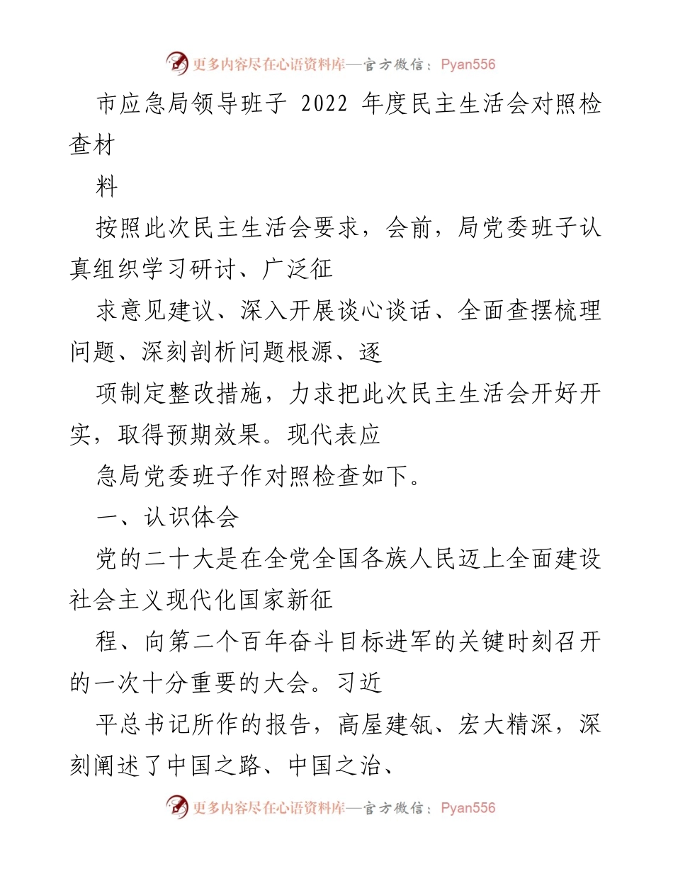[发言] 市应急局年度民主生活会 - 2022年度民主生活会对照检查发言稿.docx_第1页