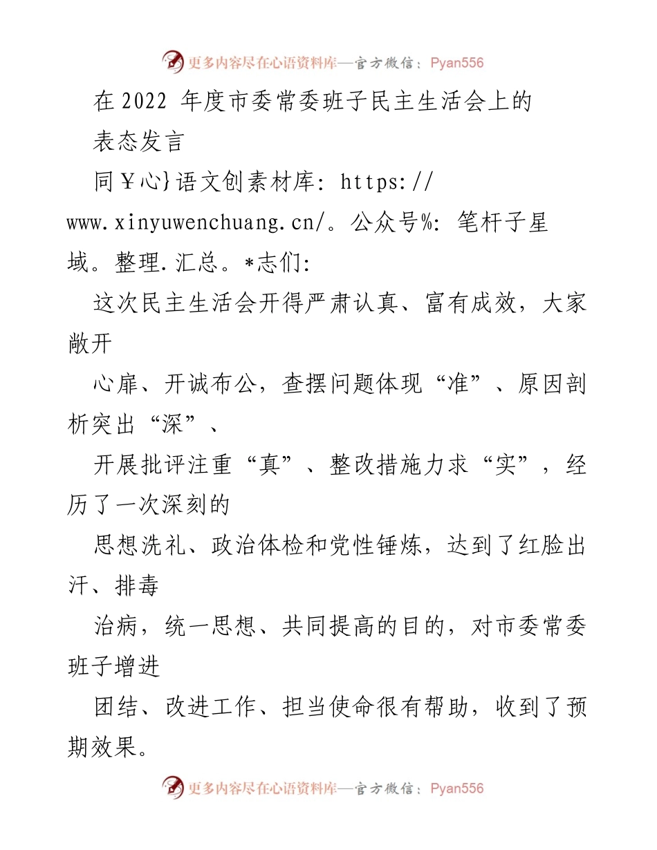 [发言] 市委常委班子民主生活会 - 深化思想政治洗礼，带头担当作为.docx_第1页