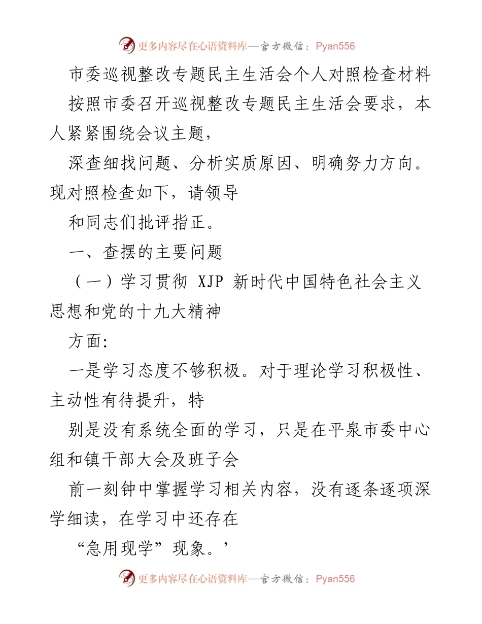 [发言] 市委巡视整改专题民主生活会 - 深入查摆问题，明确整改方向.docx_第1页