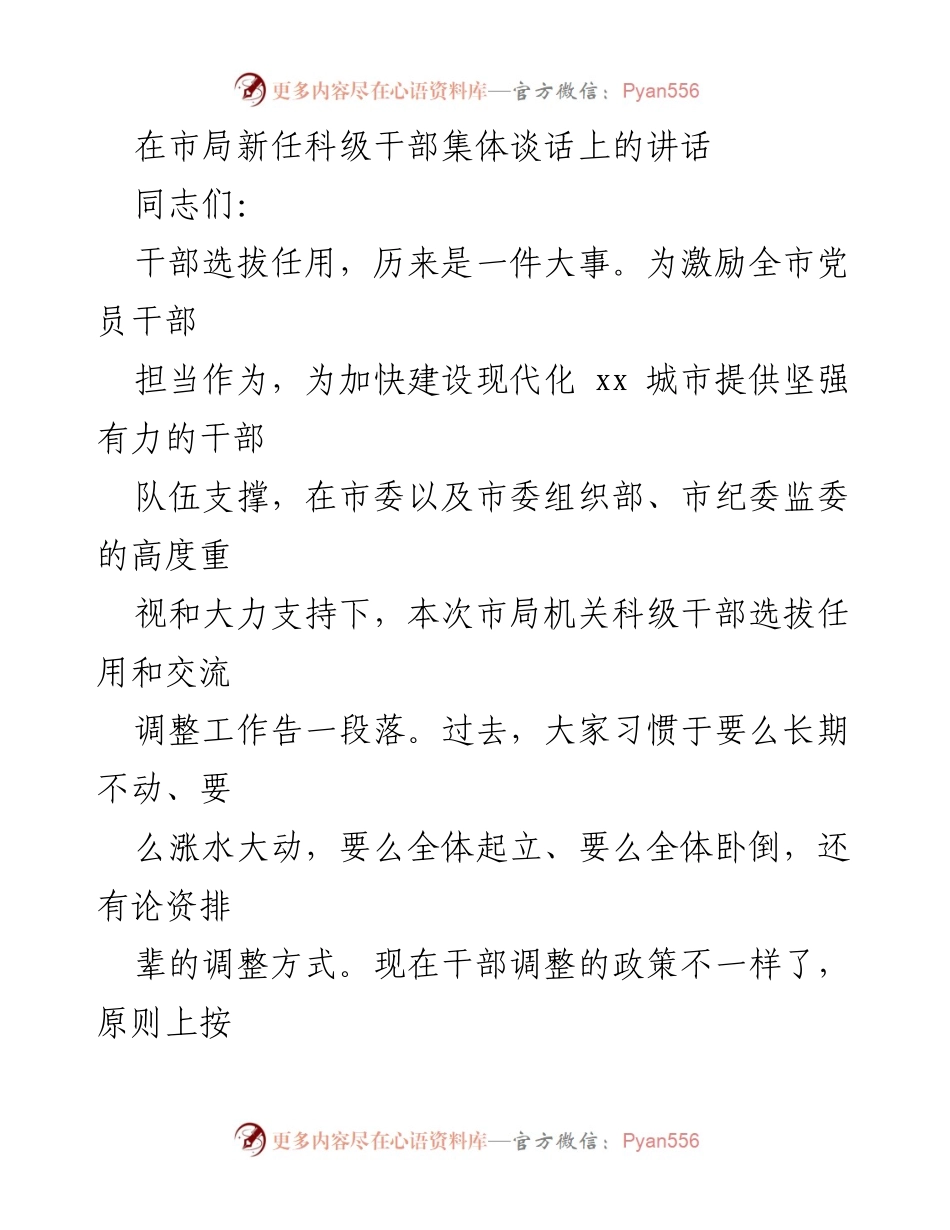 [发言] 市局新任科级干部集体谈话 - 关于干部选拔任用的新政策与期望.docx_第1页