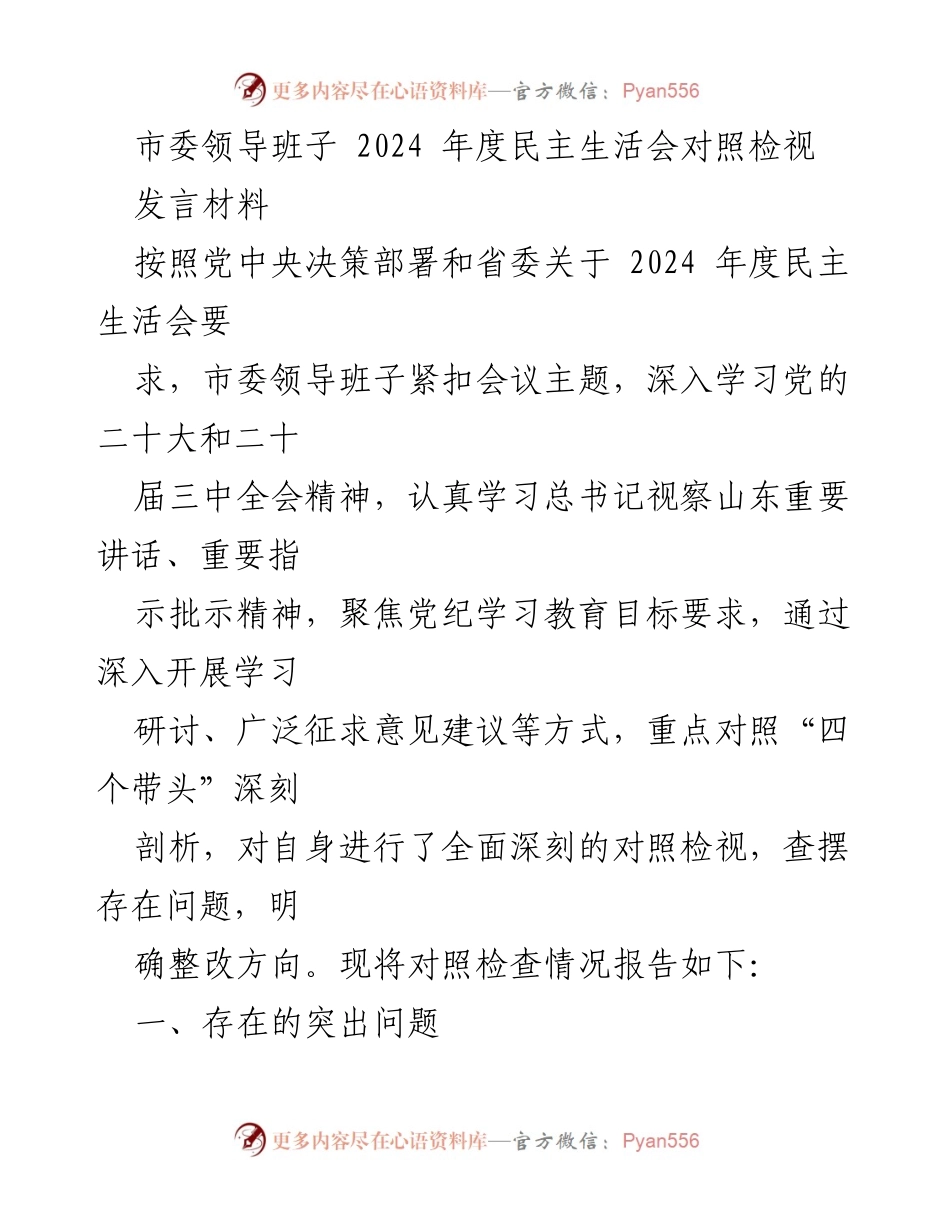 [发言] 市委年度民主生活会 - 2024年度市委领导班子对照检视发言材料.docx_第1页