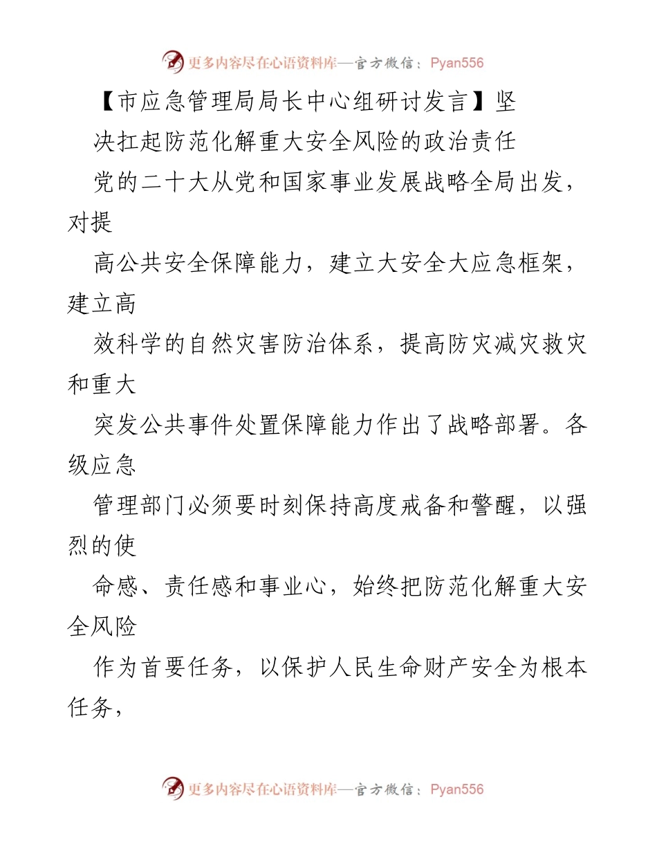 [发言] 市应急管理局局长中心组研讨 - 坚决扛起防范化解重大安全风险的政治责任.docx_第1页