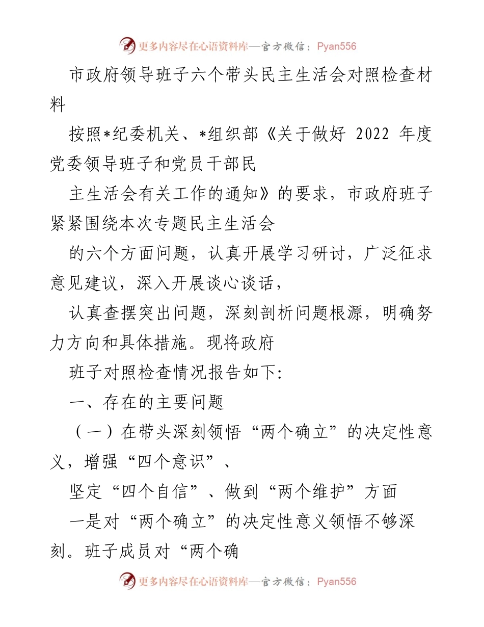 [发言] 市政府领导班子民主生活会 - 市政府领导班子对照检查材料总结.docx_第1页