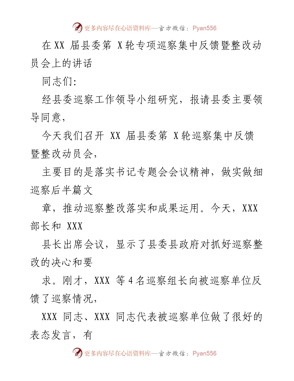 [发言] 巡察整改动员会 - 强调巡察整改责任与落实的重要性.docx_第1页