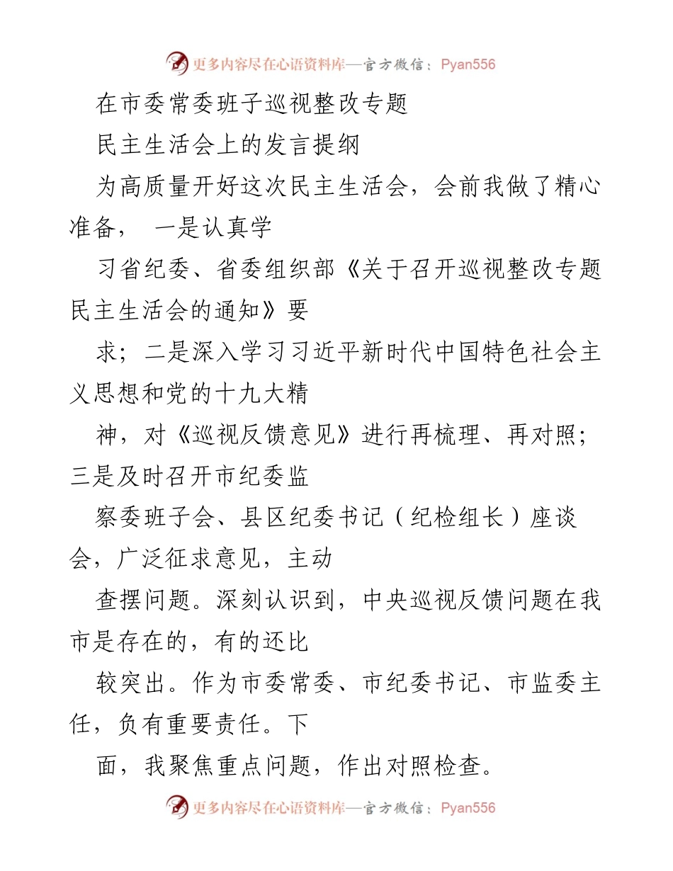 [发言] 市委常委班子巡视整改专题民主生活会 - 着力整改巡视反馈问题，强化政治纪律与作风建设.docx_第1页