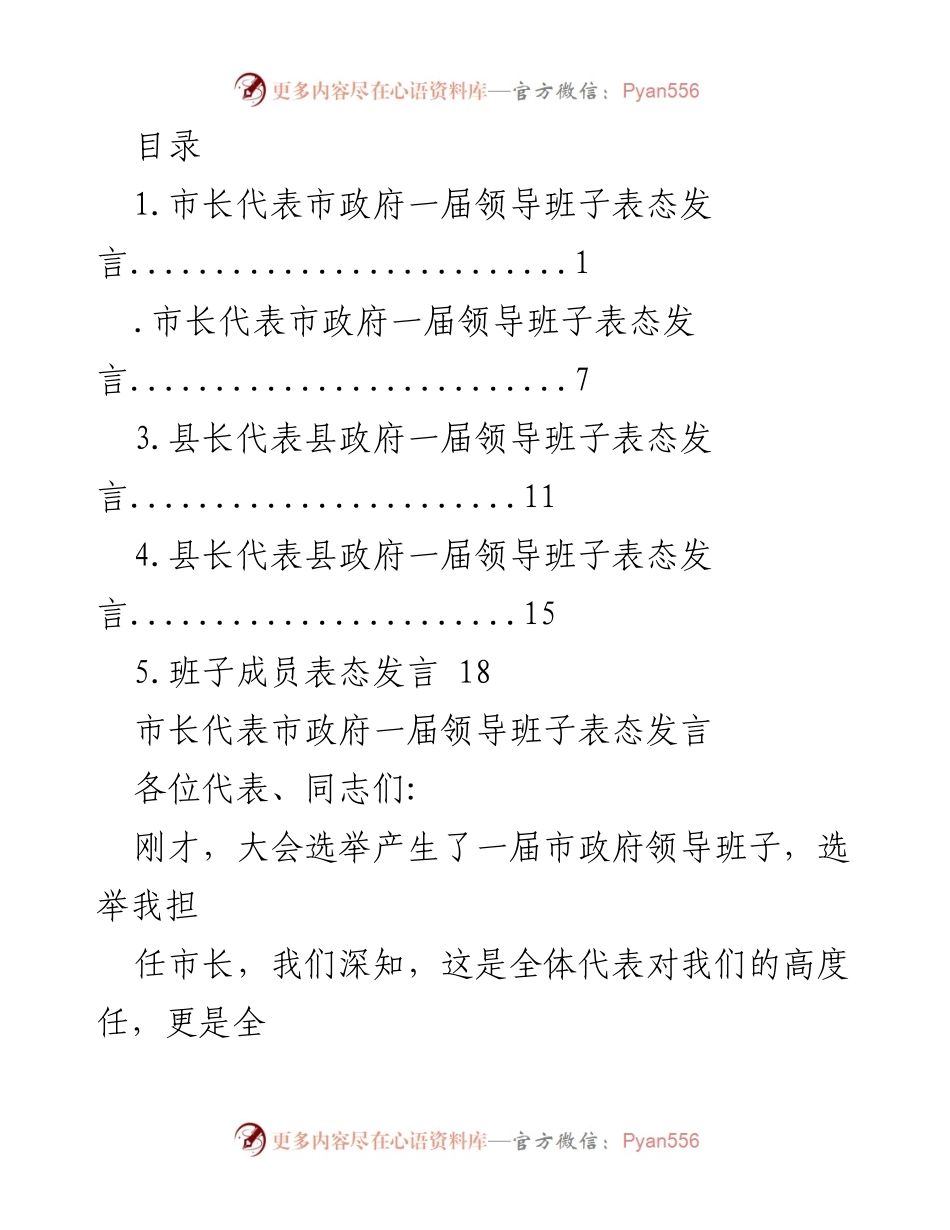 [发言] 市政府新一届领导班子表态发言.docx_第1页