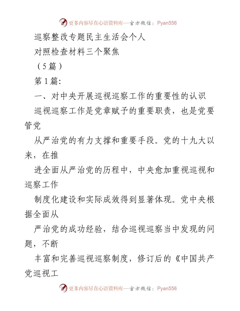 [发言] 巡察整改专题民主生活会 - 巡视巡察工作的重要性与整改措施分析.docx_第1页