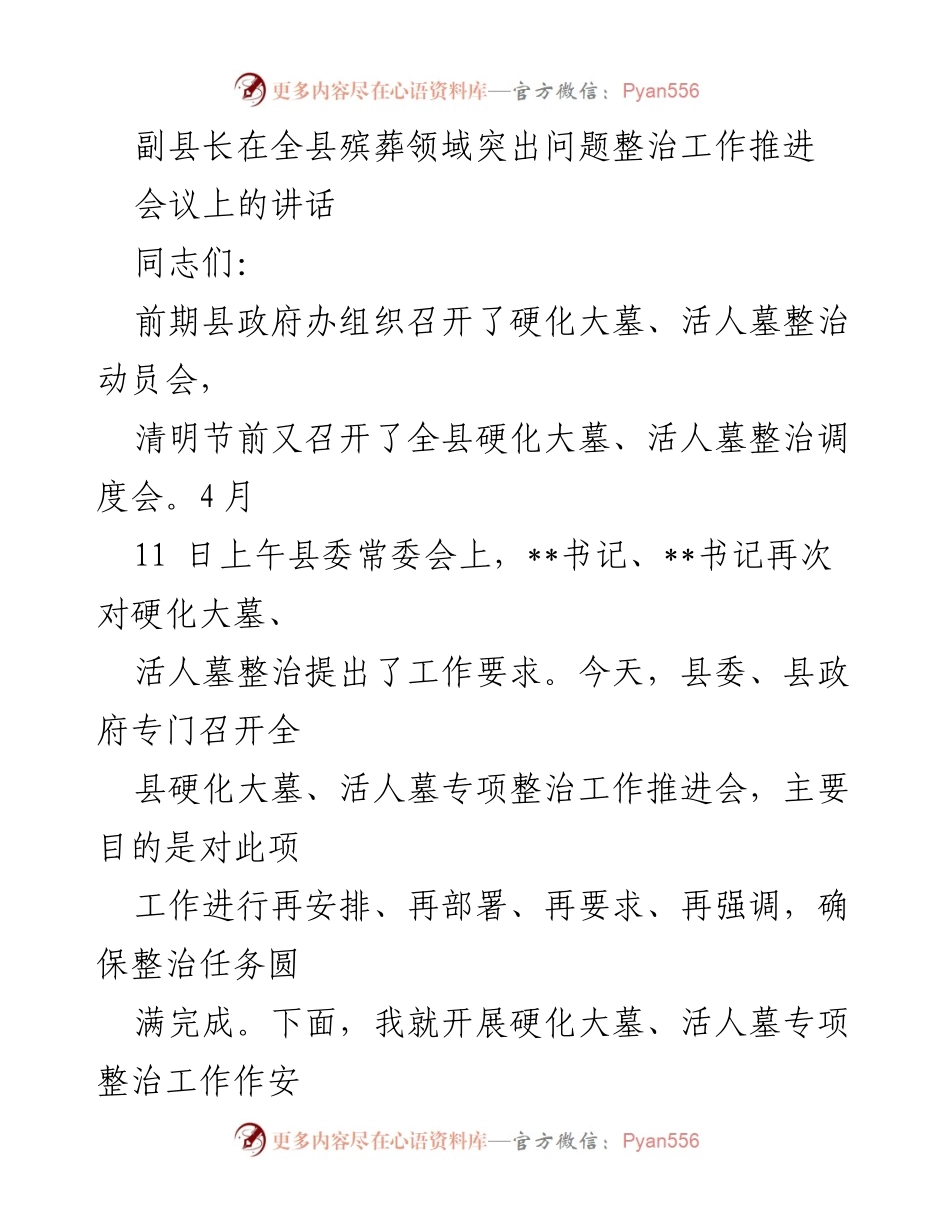 [发言] 工作推进会 - 硬化大墓与活人墓专项整治工作的重要性与紧迫性.docx_第1页