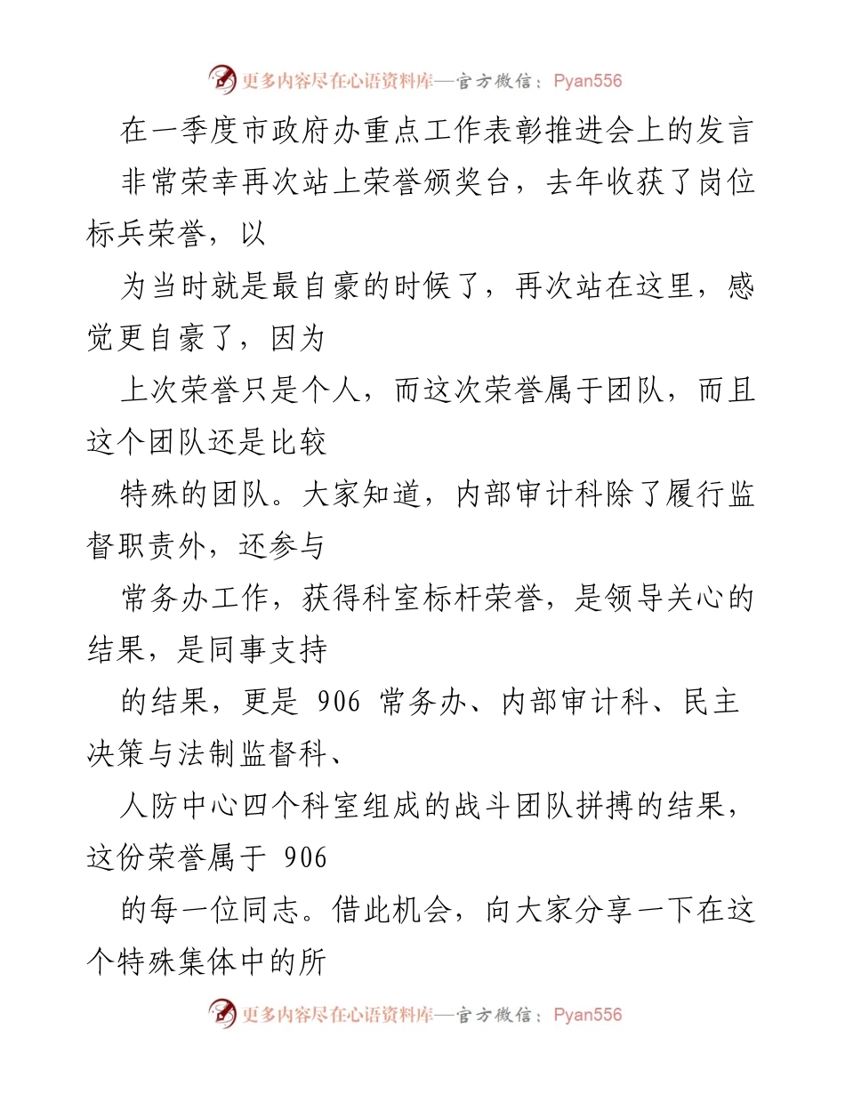 [发言] 市政府办重点工作表彰推进会 - 团队荣誉与奋斗分享.docx_第1页