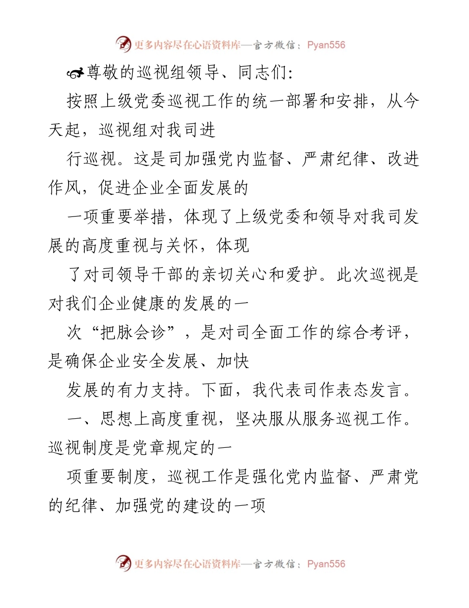 [发言] 巡视工作表态发言及企业发展承诺.docx_第1页