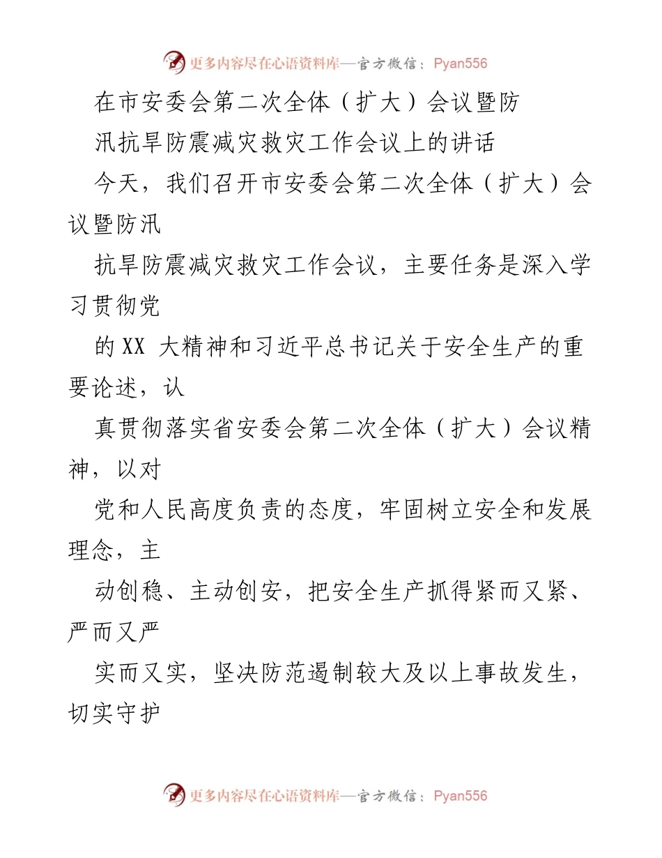 [发言] 市安委会第二次全体（扩大）会议 - 强化安全生产责任，守护人民生命财产安全.docx_第1页
