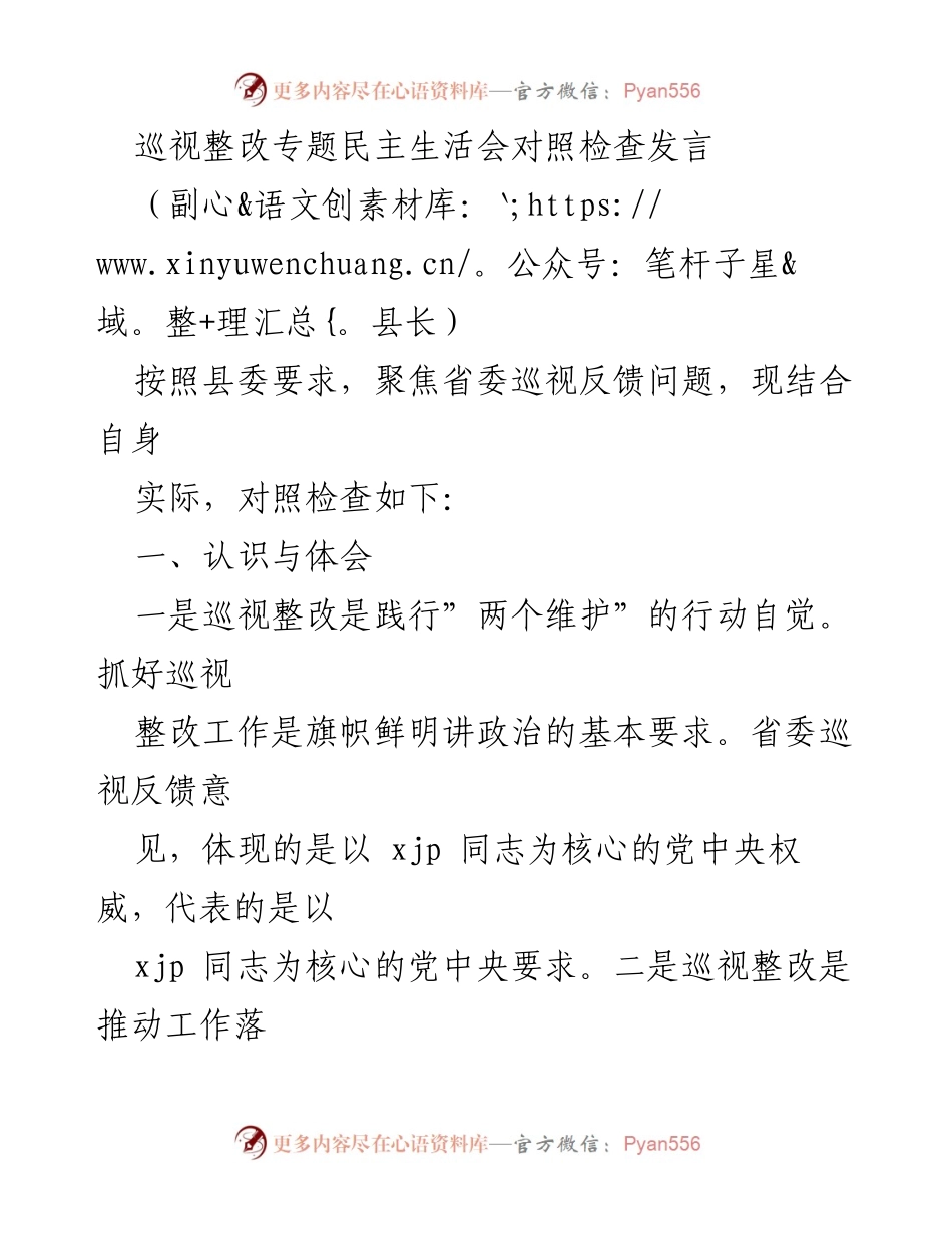 [发言] 巡视整改专题民主生活会 - 巡视整改的自觉与责任担当.docx_第1页