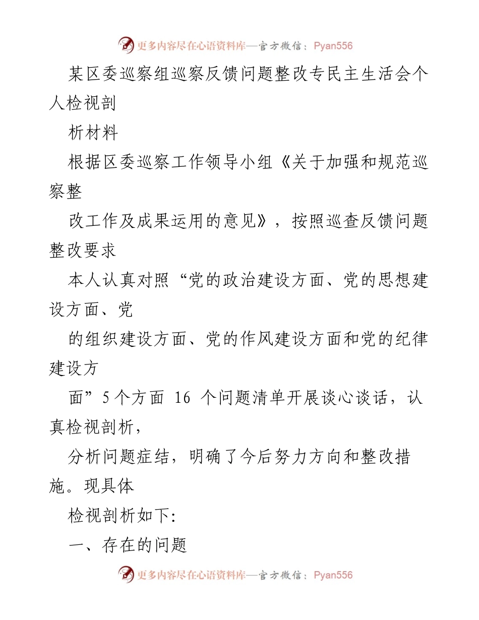 [发言] 巡察整改反馈 - 巡察反馈问题整改专民主生活会个人检视剖析材料.docx_第1页