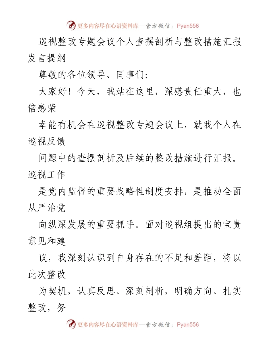 [发言] 巡视整改专题会议 - 个人查摆与整改措施汇报发言提纲.docx_第1页